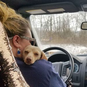 Meet your Posher, Natalie